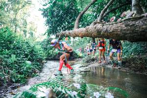 BIB: 
                            <button type="button" onclick="openModal(25442164)" class="btn btn-primary btn-sm float-right btn-popup" data-toggle="modal" data-target=".modal-high-quality">
                        <i class="fas fa-shopping-cart"></i> Add to Cart
                    </button>
                                            <button type="button" onclick="isThisMe(25442164, true)" class="btn btn-success btn-sm float-right btn-popup btn-isme hidden" data-toggle="tooltip" data-placement="bottom" title="นี่คือรูปของคุณใช่ไหม คลิกที่นี่เพื่อเอาเข้าอัลบั้ม">
                        <i class="fas fa-plus"></i> Add to album
                    </button>
                    <button type="button" onclick="isThisMe(25442164, false)" class="btn btn-warning btn-sm float-right btn-popup btn-isnotme hidden">
                        <i class="fas fa-ban"></i> Remove from album
                    </button>